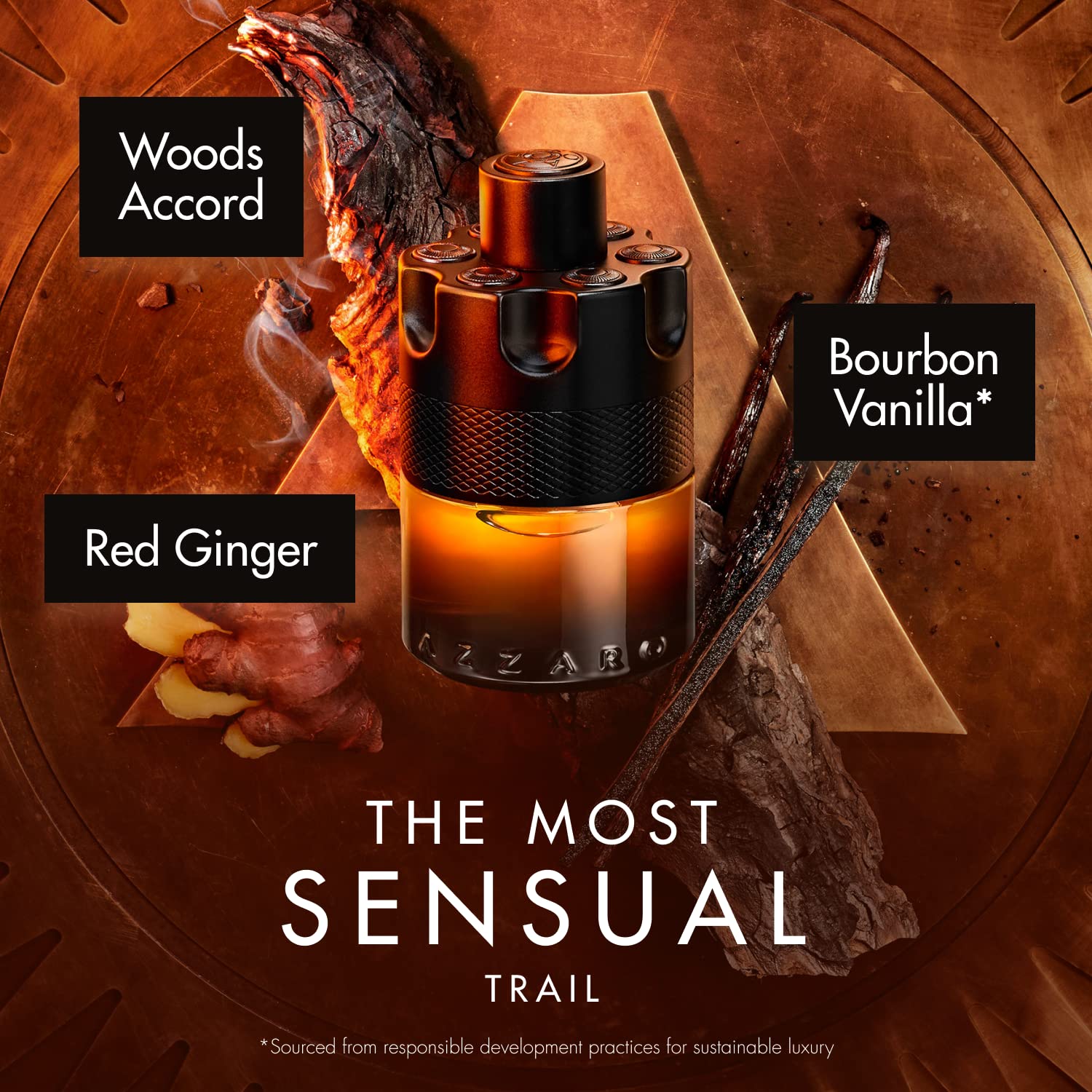 Azzaro The Most Wanted Cologne The Most Wanted Parfum Intense Mens Cologne Spicy, Seductive Fragrance